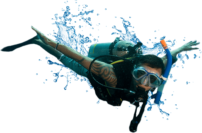 immersioni ortigia diving plemmirio
